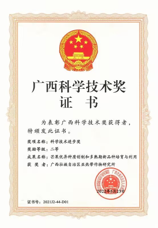 廣西芒果明星產(chǎn)品——熱作所芒果中心的桂七芒(桂熱芒82號(hào))
