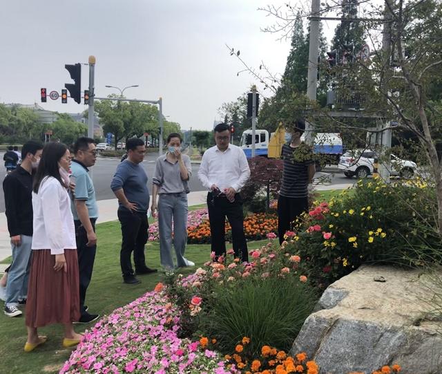 打磨“工匠精神”，松江這家園林企業(yè)用“黨建紅”打造“園林綠”