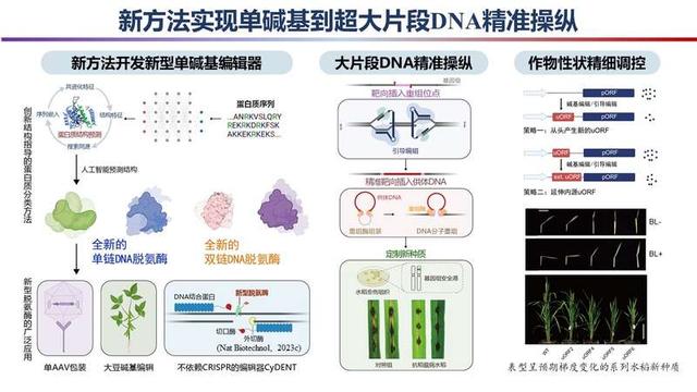 2023年度“中國(guó)科學(xué)十大進(jìn)展”發(fā)布，主要分布在生命科學(xué)等領(lǐng)域（2021年度中國(guó)科學(xué)十大進(jìn)展）