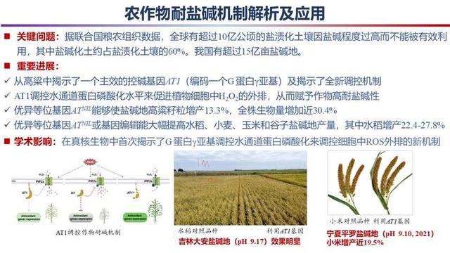 2023年度“中國(guó)科學(xué)十大進(jìn)展”發(fā)布，主要分布在生命科學(xué)等領(lǐng)域（2021年度中國(guó)科學(xué)十大進(jìn)展）