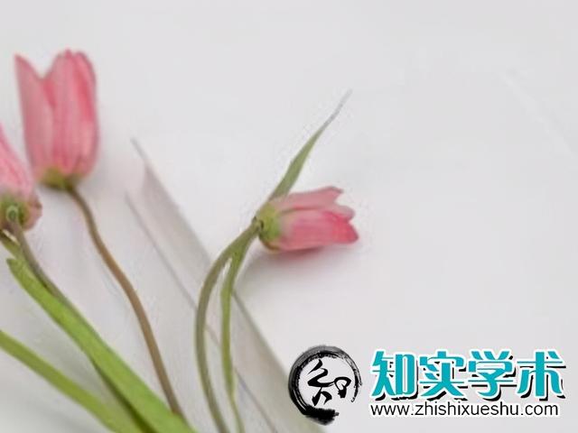 出書相當(dāng)于出論文嗎？參評人是選出書還是出論文（出書算不算學(xué)術(shù)成果）