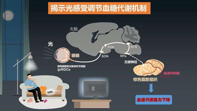2023年度“中國(guó)科學(xué)十大進(jìn)展”發(fā)布，主要分布在生命科學(xué)等領(lǐng)域（2021年度中國(guó)科學(xué)十大進(jìn)展）