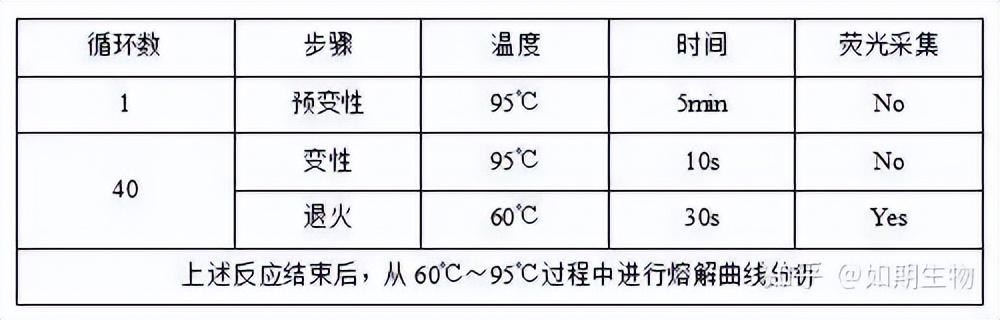 qPCR實(shí)驗(yàn)方法及檢測報告模板（qpcr實(shí)驗(yàn)步驟詳細(xì)）