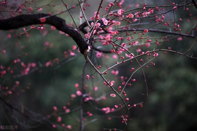 又要開始填報內(nèi)控報告了，報告需要的佐證材料該如何準備？（內(nèi)控報告佐證材料范本）